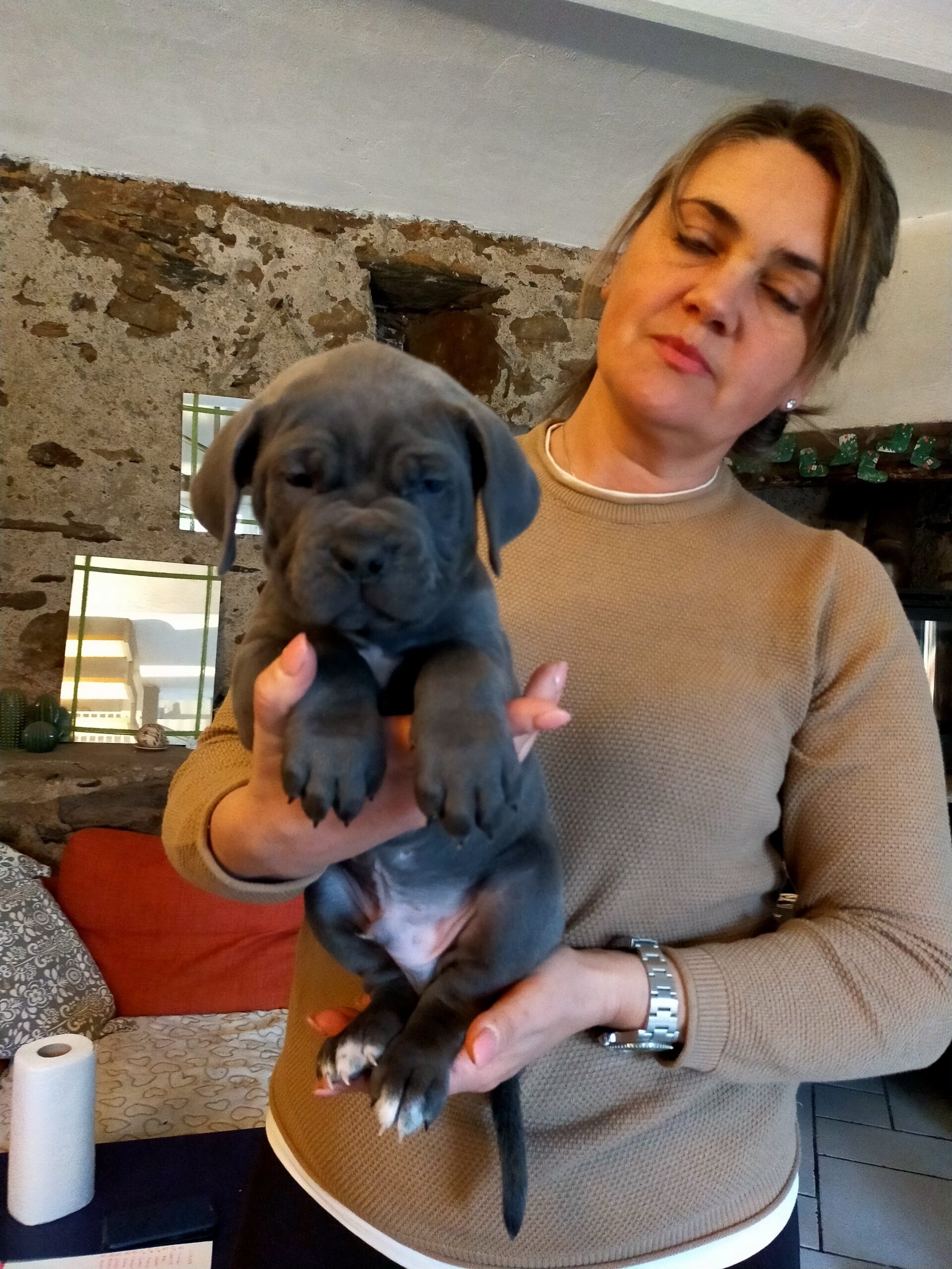 Masticativi per cani selvaggina Archivi - Allevamento Amatoriale Cane Corso  Italiano - dei Legionari Arditi, Torino.