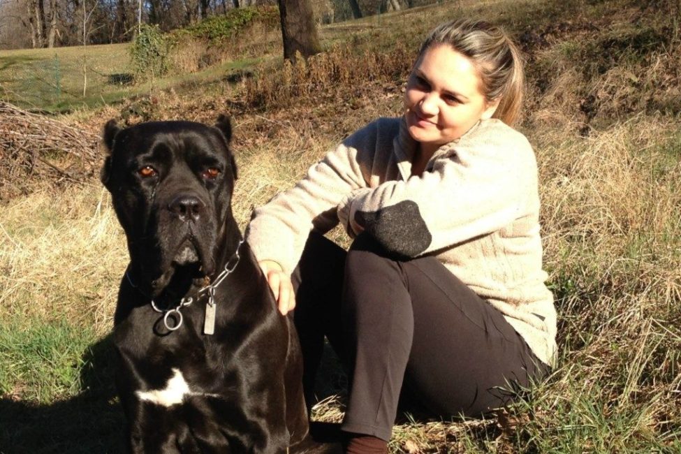 brutus-cane-corso