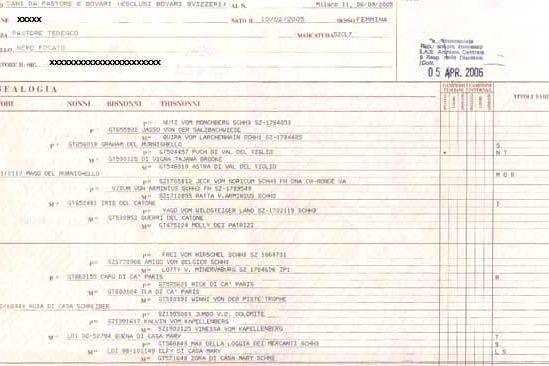 Pedigree1