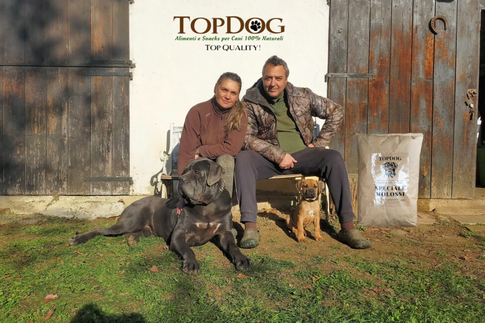 Top-Dog_speciale Molosso